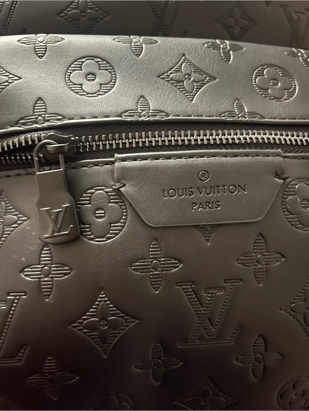 LV Backpack - Picture 5 of 7